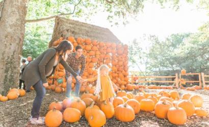 Falltastic Festivities to Experience in Tennessee
