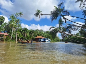 COP30 to Feature Regenerative Tourism Experiences in the Brazilian Amazon