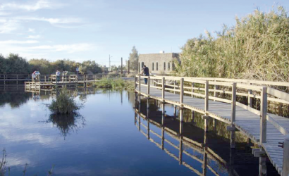 International recognition of Jordan’s Azraq Wetland Reserve a boost for eco-tourism