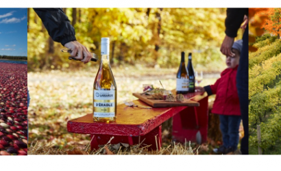 Autumn in Québec: Unique Agritourism Experiences