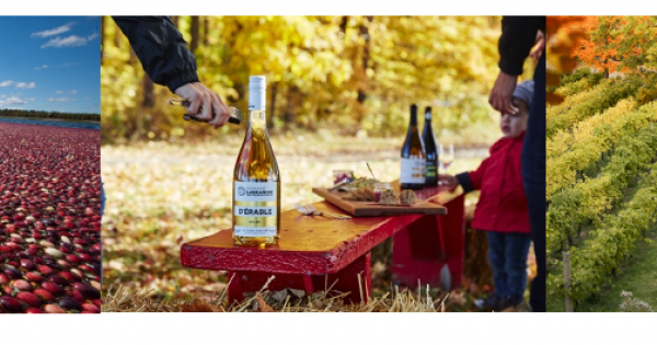 Autumn in Québec: Unique Agritourism Experiences
