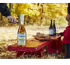 Autumn in Québec: Unique Agritourism Experiences
