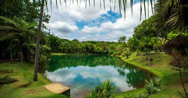 Discover Brazil’s open-air museum that unites contemporary art with environmental conservation