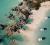 Bermuda: The Coolcation That Doesn’t Require a Coat