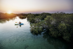Breaking Travel News explores: Experience Abu Dhabi. Find Your Pace
