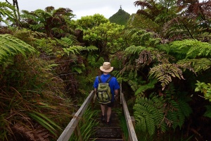 St Helena Invites Travellers to ‘Come and Find Me’ as Remote Island Steps into the Tourism Spotlight