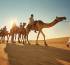 Breaking Travel News investigates: Arabian Nights Village, Abu Dhabi