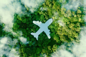 The Green Horizon: Travel and Tourism Trends for 2026 and Sustainable Journeys