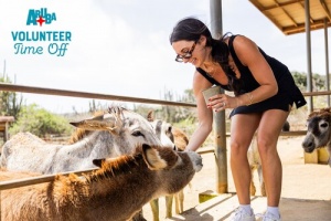 Aruba Launches Its First Voluntourism Campaign