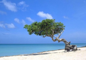 Aruba leads latest list of quarantine-free destinations
