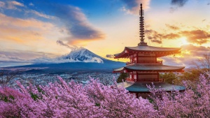 Northeast Asia set to surpass $30 billion annual online travel bookings by 2026
