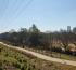 Atlanta Beltline Arboretum Becomes the World’s Longest Linear Arboretum