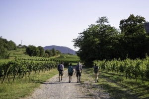 A NEW SCENIC AND CULTURAL ROUTE OPENS UNITING BERGAMO AND BRESCIA