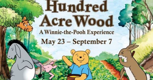 Boston Children’s Museum Opens Hundred Acre Wood: A Winnie-the-Pooh Experience