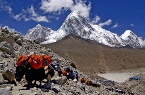 Nepal Waives Climbing Fees for 97 Peaks to Boost Remote Region Tourism
