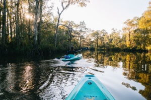 Coastal Mississippi Unveils the Ultimate Summer Wonderland: 62 Miles of Blissful Adventures Await!