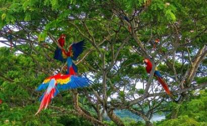 5 Reasons to Visit Costa Rica during the Green Season