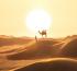 AHIC 2020: Dubai tourism chief predicts full recovery