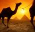 Tourism remains key, says Egypt’s Islamic parties