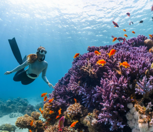 Multi-day tours enter new phase of growth as operators shift toward smaller groups