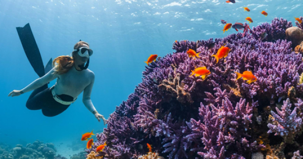 Multi-day tours enter new phase of growth as operators shift toward smaller groups