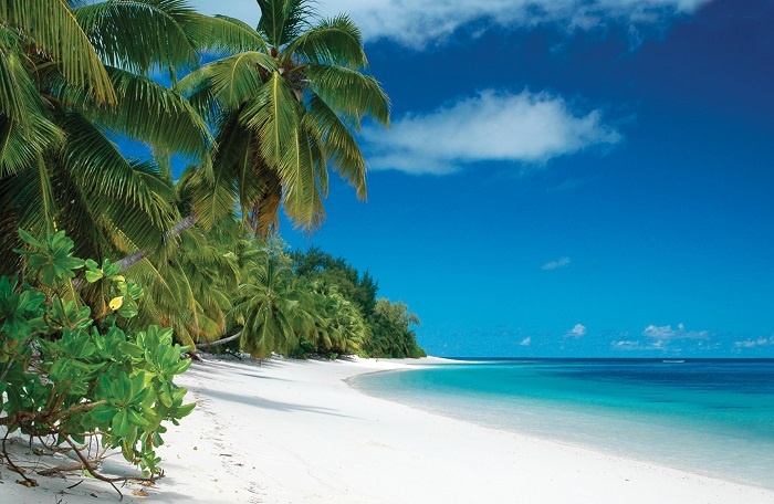 Seychelles tourism to come under spotlight