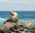 On The Go Tours launches cruises to the Galapagos Islands