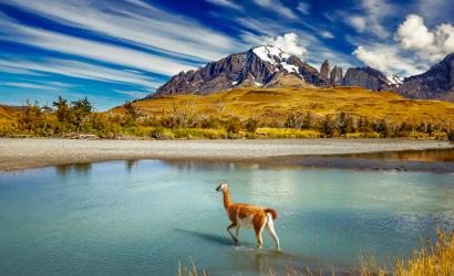 Explora: Six Years at the Summit of Luxury Expedition Travel