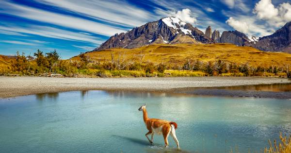 Explora: Six Years at the Summit of Luxury Expedition Travel