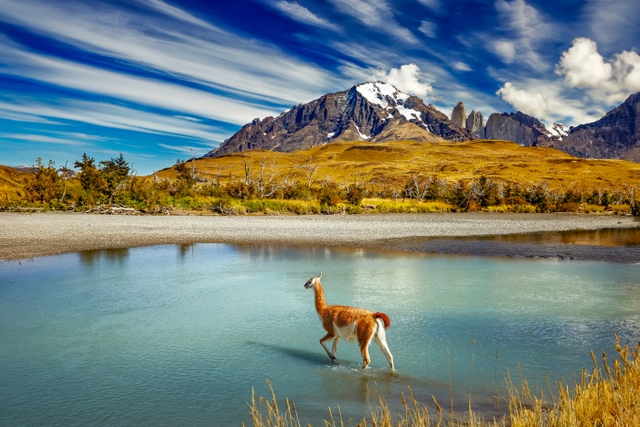 Explora: Six Years at the Summit of Luxury Expedition Travel