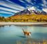 Explora: Six Years at the Summit of Luxury Expedition Travel