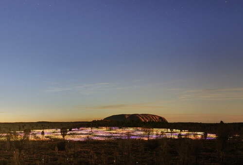 The “Field of Light,” an icon of world art in Uluru, celebrates its tenth anniversary