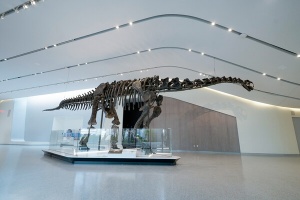 Cleveland Museum of Natural History Unveils New Visitor Hall