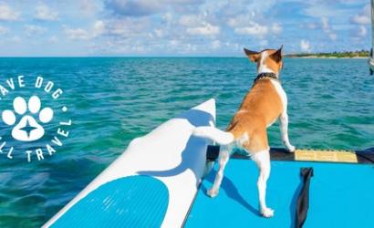 Aruba Invites Pet Parents and their Dogs to Experience The Aruba Effect