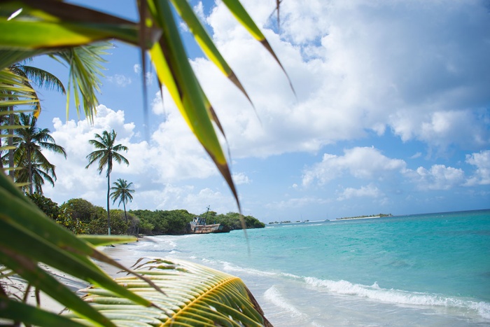 Grenada seeks to recruit diaspora to new tourism programme