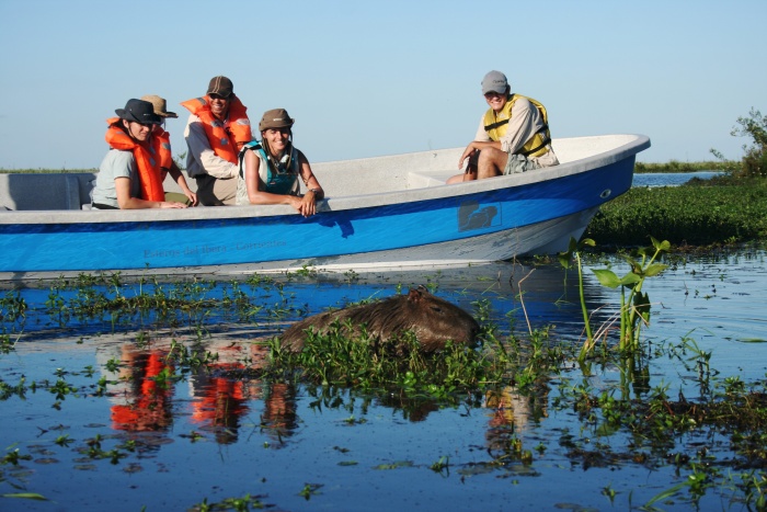 Iberá National Park gives eco-tourism a boost in Argentina