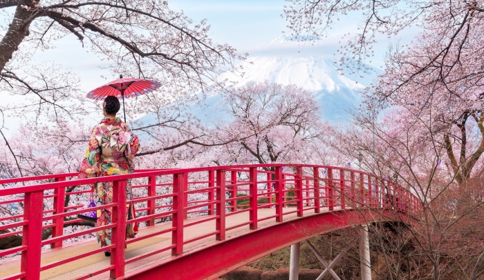 The Best Time of the Year to Go to Japan: A Month-by-Month Guide