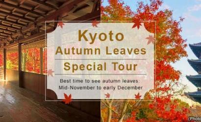 Experience Japan's Stunning Autumn with Fall Foliage and Hot Springs
