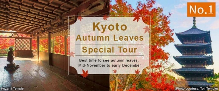 Experience Japan’s Stunning Autumn with Fall Foliage and Hot Springs ...