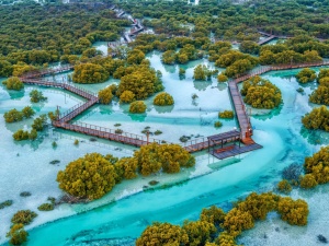 Jubail Mangrove Park’s Sustainability Efforts Attract Record Numbers of Visitors