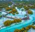 Jubail Mangrove Park’s Sustainability Efforts Attract Record Numbers of Visitors