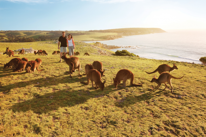 Tourism Australia appoints Turner to oversee North America market