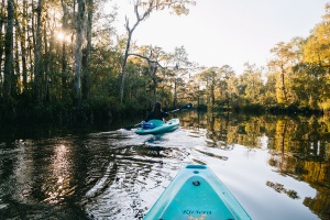 Coastal Mississippi Spotlights Sustainable Travel Experiences for Earth Month