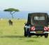 Thomson Safaris launches new Tanzania trip