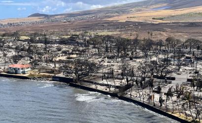 Maui Wildfires Update