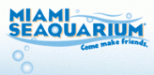 New Attraction now open at Miami Seaquarium
