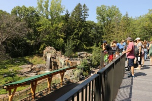 TREETOP TRAIL RAISES MINNESOTA ZOO TO A NEW LEVEL