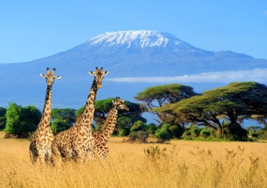 KILIMANJARO NATIONAL PARK