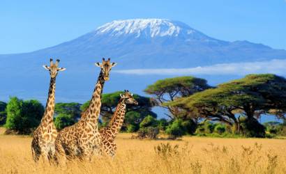 KILIMANJARO NATIONAL PARK