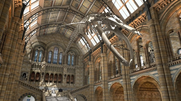 Natural History Museum reopens Hintze Hall as transformation continues
